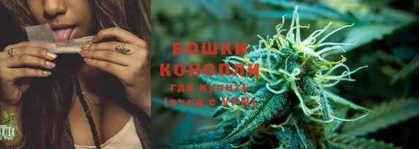 ПСИЛОЦИБИНОВЫЕ ГРИБЫ Мегион