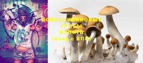 винт Медногорск