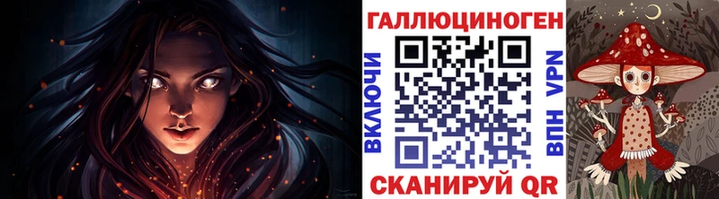 Купить где  Камбарка  Галлюциногенные грибы MAGIC MUSHROOMS 